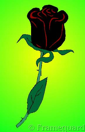  - Sabine Hoffer - Die schwarze Rose (Computerzeichnung, koloriert von Georg Siebert)